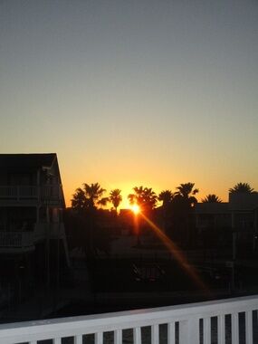 Meet your Posher, The bella